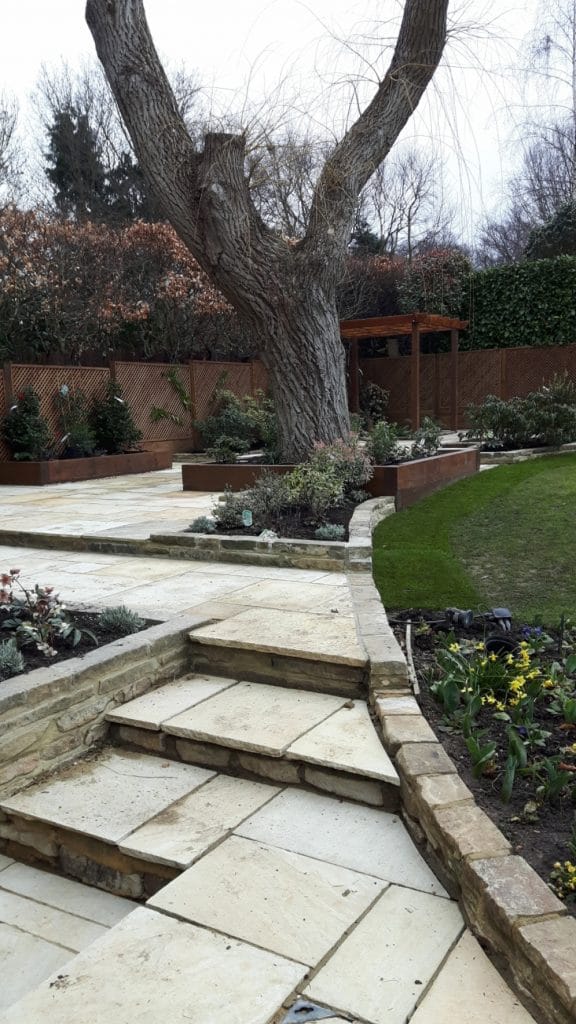 Stone garden steps leading to a paved terrace with raised planting beds around a mature tree - Cobham garden design