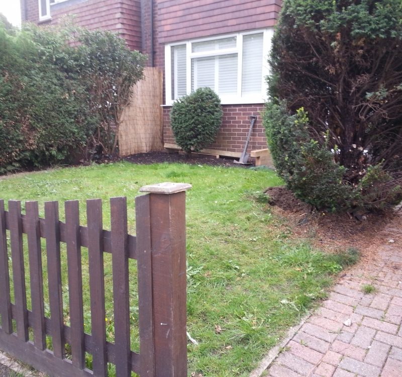 Taylored Gardens