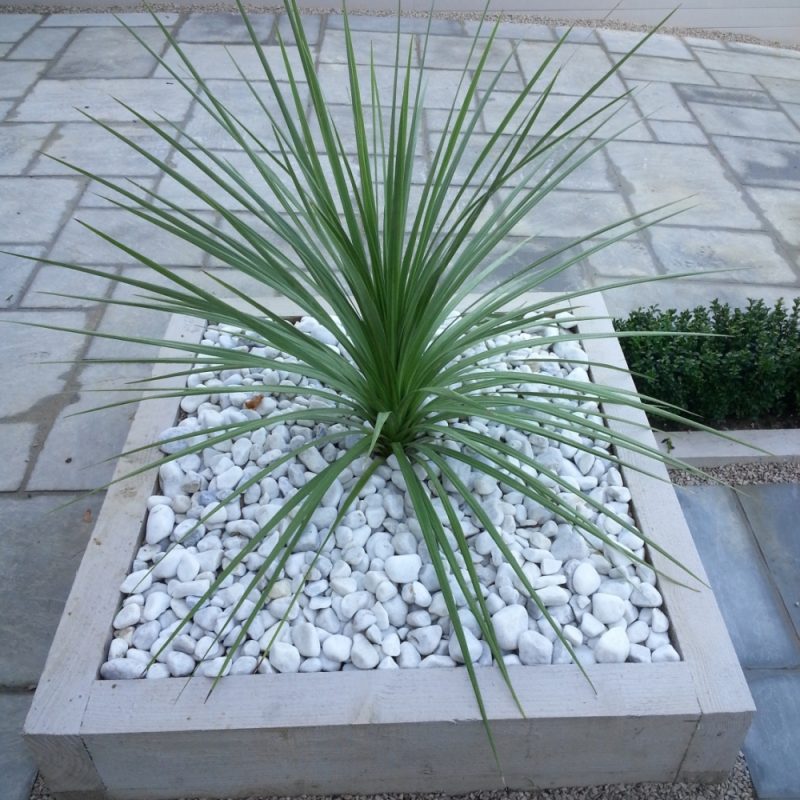 Taylored Gardens