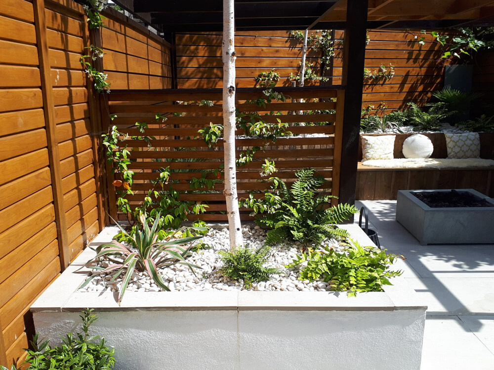 Taylored Gardens