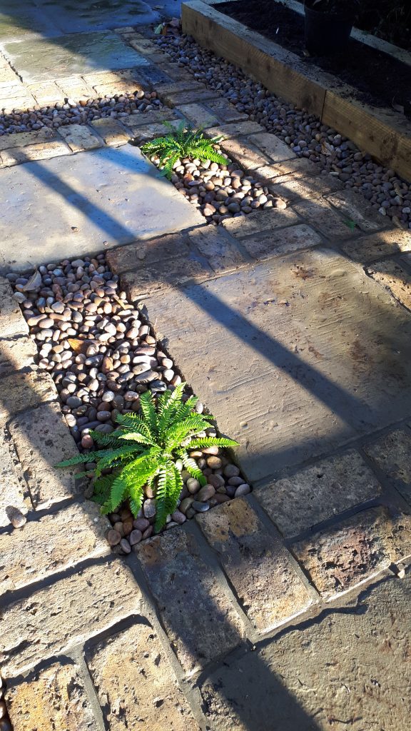 A stone path leading to a wooden front door framed by a beautifully designed patio garden with a medley of green foliage, created by Taylored Gardens.