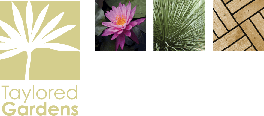 Taylored Gardens