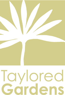 Professional team of Taylored Gardens working diligently on bespoke garden design