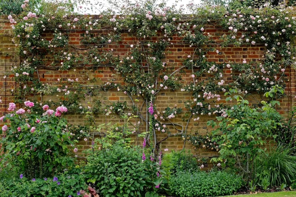 Image: Acabashi, CC BY-SA 4.0